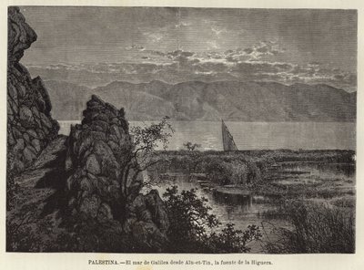 Palestina, O Mar da Galiléia de Ain-et-Tin, a fonte da Figueira de European School