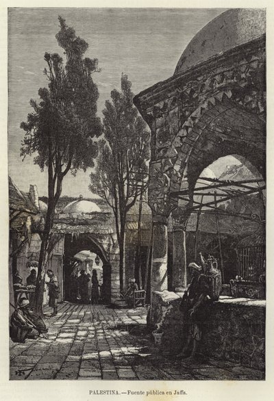 Palestina, Public source in Jaffa de European School