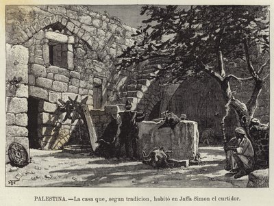 Palestina, A casa que, segundo a tradição, eu habito em Jaffa Simon, o curtidor de European School