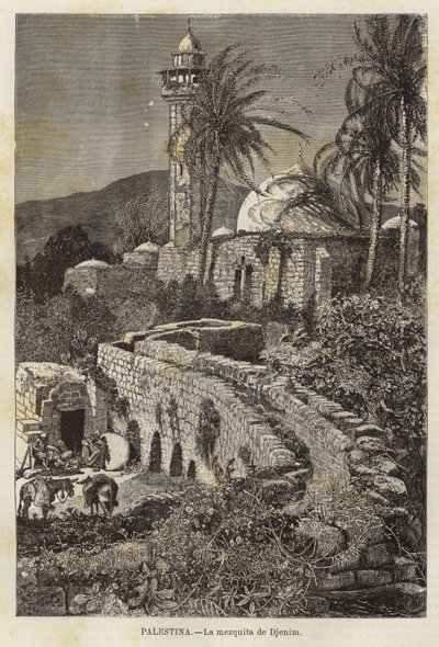 Palestina, a mesquita de Djenim de European School