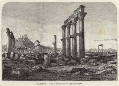 Palestina, Vista de Palmira, da grande columnata de European School