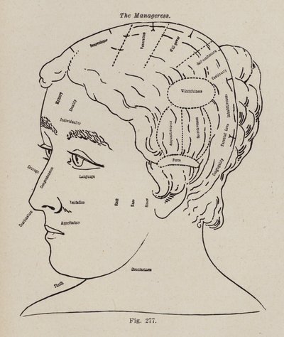 Frenologia, Uma Gerente (litho) de European School