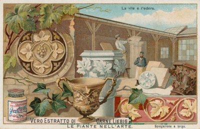 As plantas na arte, cartão Liebig, início do século XX (cromo) de European School