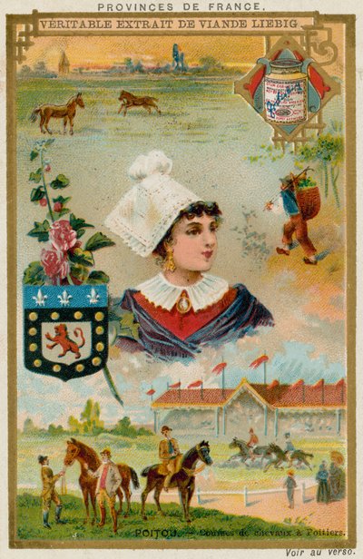 Poitou de European School