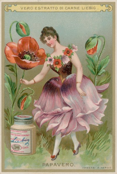 Menina da papoila de European School