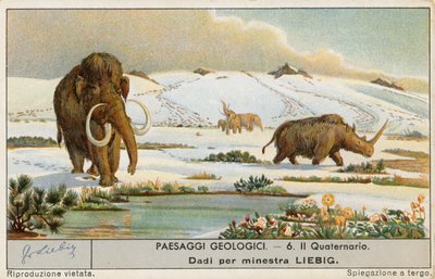 Mundo pré-histórico, cartão Liebig, início do século XX (cromo) de European School