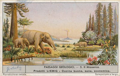 Mundo pré-histórico, cartão Liebig, início do século XX (cromo) de European School
