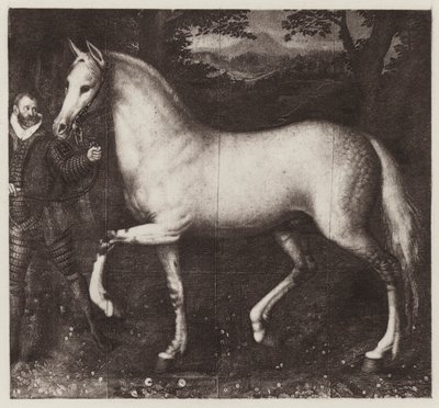 Cavalo da Rainha Elizabeth (litho) de European School