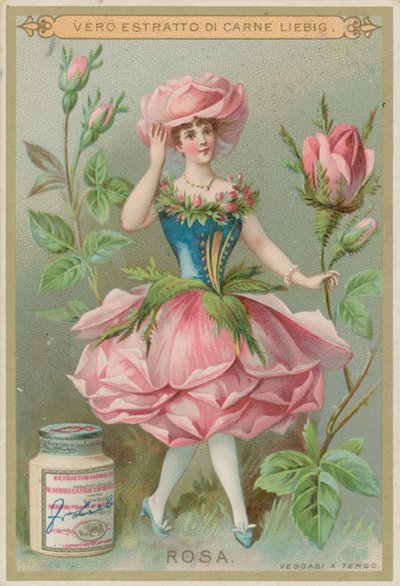 Menina de flor rosa de European School