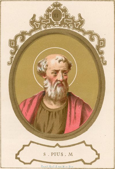 S Pius M de European School