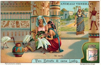 ibis sagrado no Antigo Egipto (chromolitho) de European School