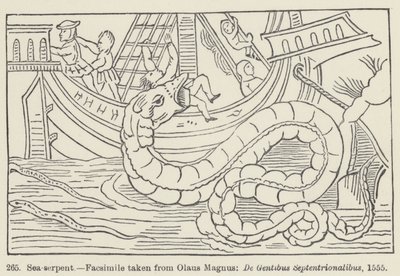 Serpente de mar (gravura) de European School