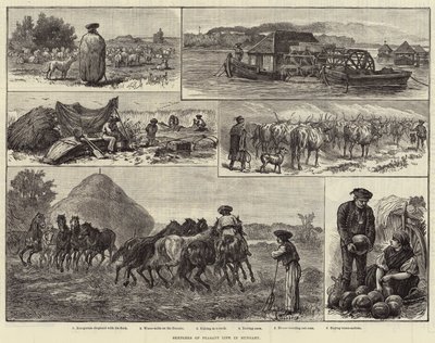 Esboços da Vida Camponesa na Hungria (gravura) de European School