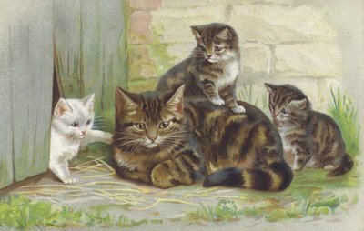 Gato malhado com três gatinhos (cromolitho) de European School
