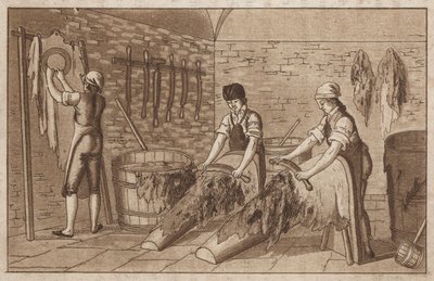 Fábrica de curtumes (litho) de European School