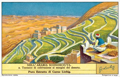 Cultivo em terraços no limite do deserto (chromolitho) de European School