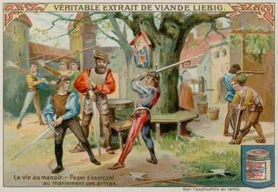 The Exercise Yard de European School