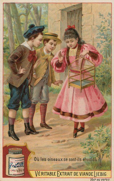 Os pássaros perdidos de European School