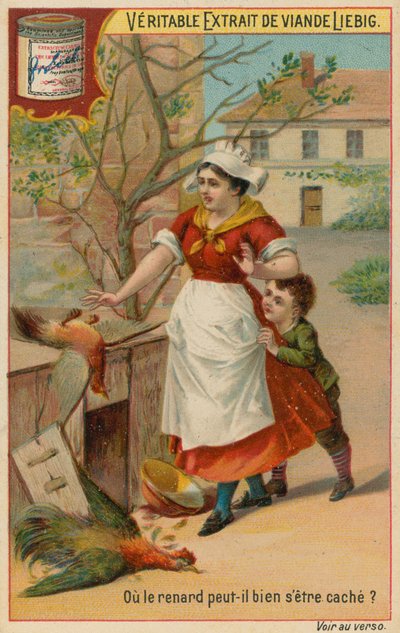 A raposa perdida de European School
