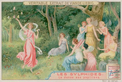 Os Sylphs Dançam Com Borboletas de European School