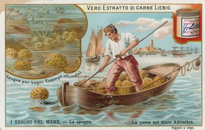 Tesouros do mar, cartão Liebig, início do século XX (cromo) de European School