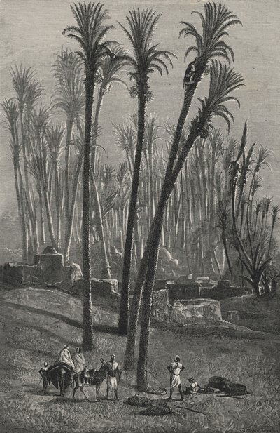 Une Oasis Au Sahara (gravura) de European School