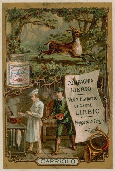 Carne de veado de European School