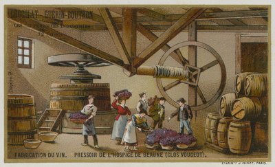 Vinificação: lagar de vinho dos Hospices de Beaune, Clos de Vougeot, Borgonha, França de European School