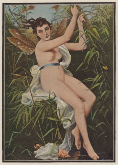 Mulher vestida de libélula (lito colorido) de European School