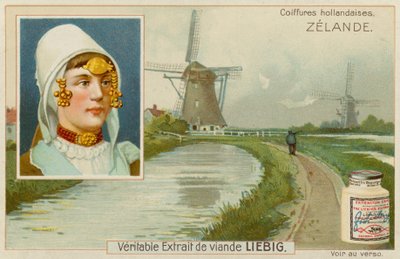 Zelândia de European School