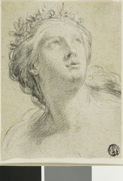 Cabeça de uma mulher de Eustache Le Sueur