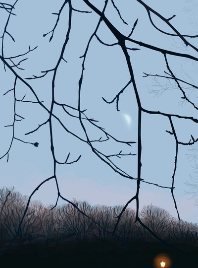 Ramos, Amanhecer, Prospect Park (arte digital) de Evan Sklar