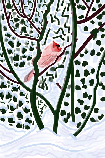 Cardeal na neve (arte digital) de Evan Sklar