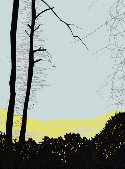 Cardeal na árvore (arte digital) de Evan Sklar