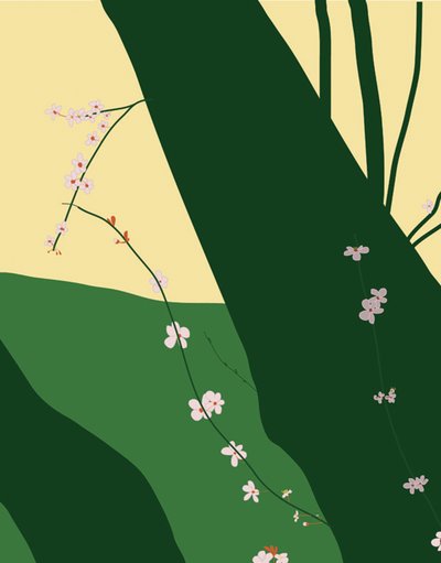 Cerejeiras em flor, 2015 (desenhada à mão num iPad com um lápis Apple) de Evan Sklar