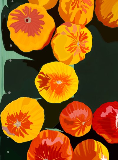 Onze tomates no mercado de Brooklyn (arte digital) de Evan Sklar