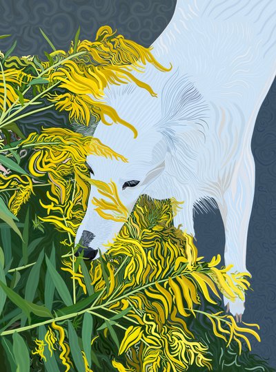 Goatdbeard White Dog e Goldenrod (arte digital) de Evan Sklar