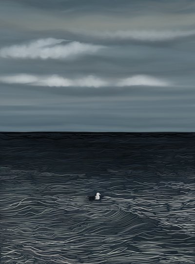 Gaivota a flutuar na água e céu tempestuoso (arte digital) de Evan Sklar