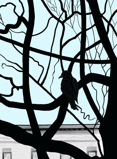 Falcão num ramo da cidade (arte digital) de Evan Sklar
