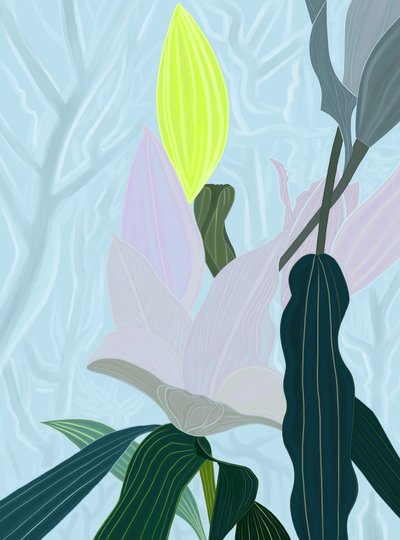Lírio (arte digital) de Evan Sklar