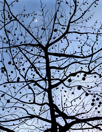 London PlaneTree and Moon, Brooklyn (arte digital) de Evan Sklar