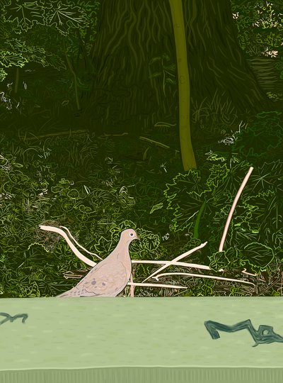 Pomba de luto na parede do Prospect Park, c.2020-24 (arte digital) de Evan Sklar