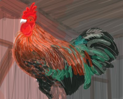 Galo no celeiro, 2018 (desenhado à mão num iPad com um lápis Apple) de Evan Sklar