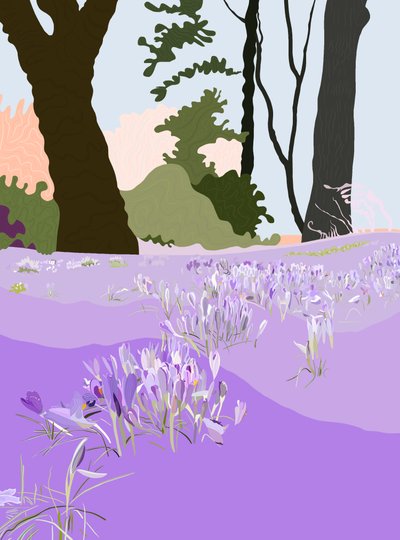 Spring Crocus (arte digital) de Evan Sklar