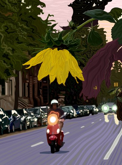 Girassol e homem a conduzir scooter vermelha (arte digital) de Evan Sklar