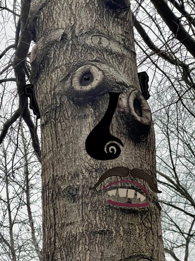 Rosto de árvore , c.2020-24 (arte digital) de Evan Sklar