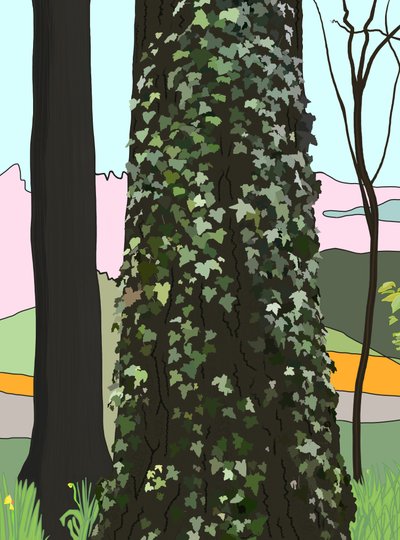 Árvore com hera (arte digital) de Evan Sklar