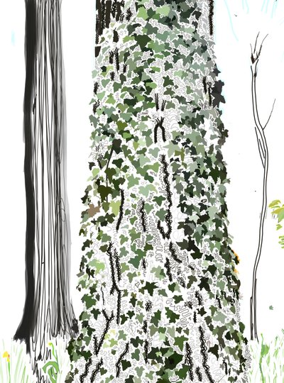 Árvore com hera (arte digital) de Evan Sklar