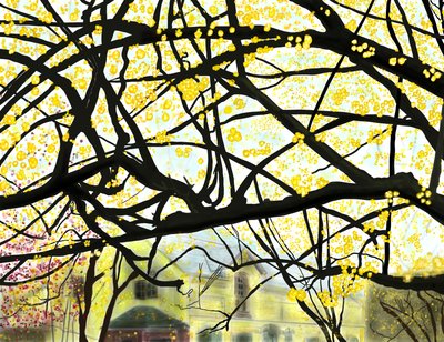 Árvore amarela em flor, Brooklyn (arte digital) de Evan Sklar