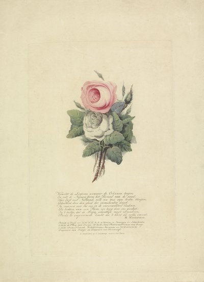 Rosas com as silhuetas da família real, 1816 de Evert Maaskamp